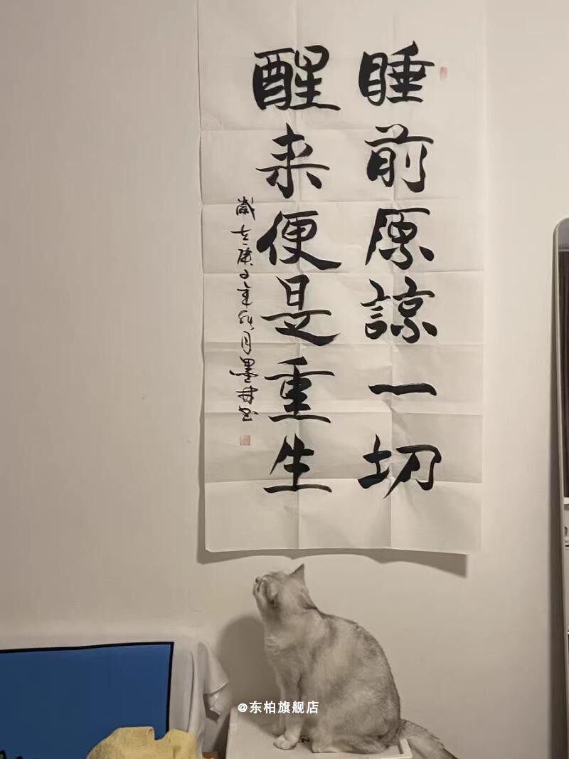 睡前原谅一切醒来便是重生 书法励志文字背景布挂布房间墙面定制