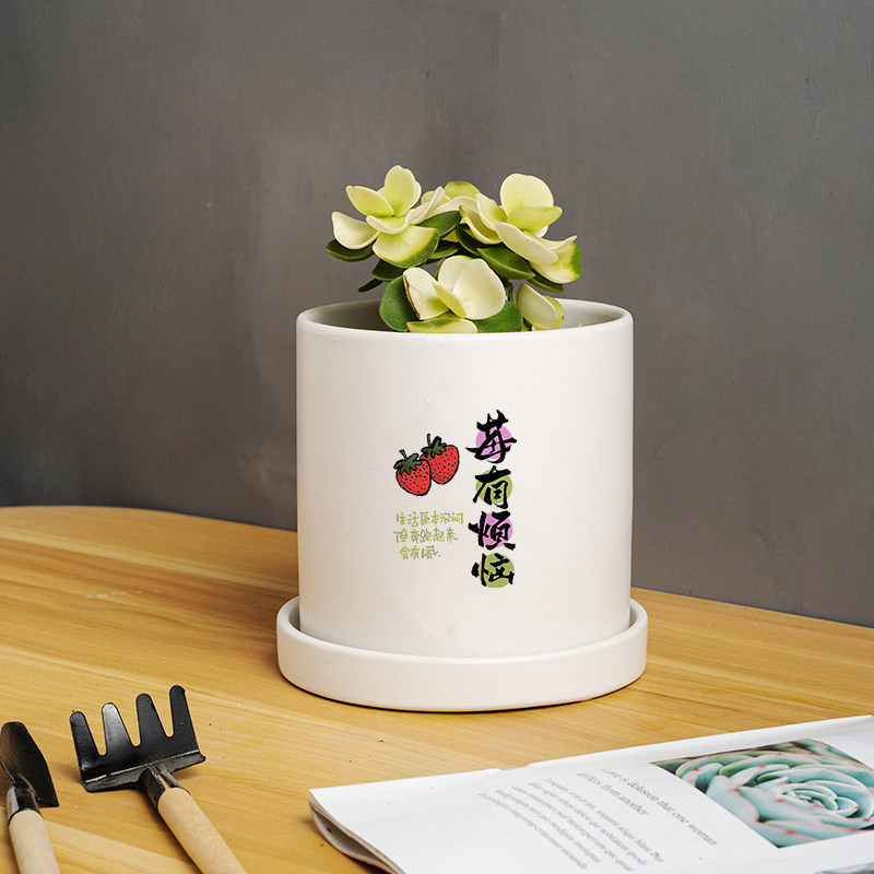 室内轻奢家用可爱文字图案创意多肉绿植盆栽陶瓷花盆营养土带托盘,鲜花速递/花卉仿真/绿植园艺,花盆,淘宝优惠券,粉丝福利购,淘宝优惠卷
