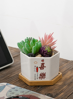 ins风多肉植物白色盆栽陶瓷创意简约现代竹托个性可爱迷你小花盆