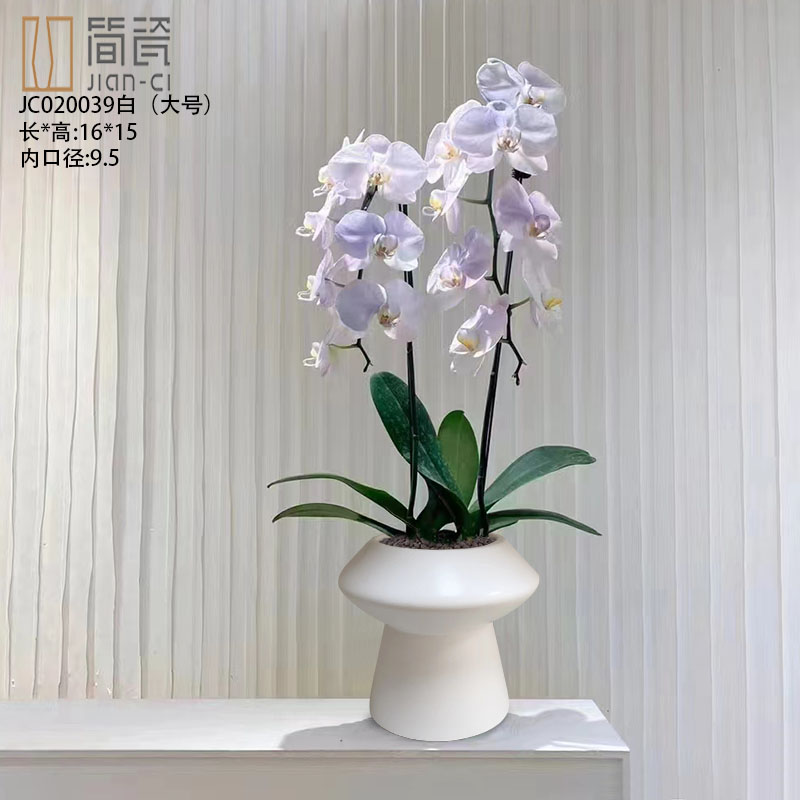 蝴蝶兰简约花盆陶瓷高脚盆