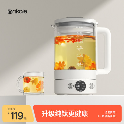 ankale养生壶小型办公室烧水壶家用多功能迷你新款花茶煮茶壶炖盅