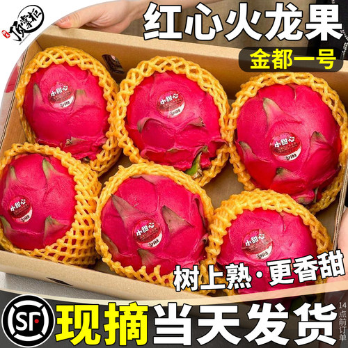 顺丰当天发丨金都一号红心火龙果