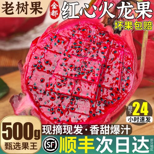顺丰当天发丨红心火龙果甜！大！