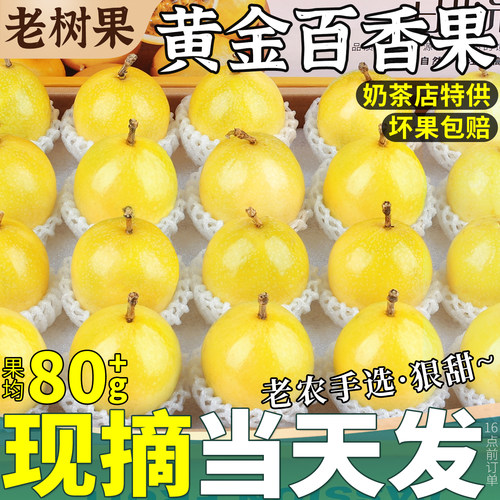 现货速发丨黄金钦蜜9号百香果