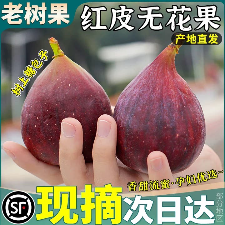 顺丰大果红皮无花果鲜果当季现摘树熟糖包子新鲜孕妇水果整箱包邮