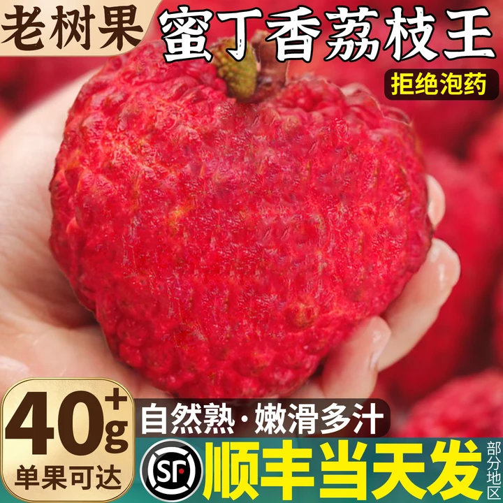 顺丰包邮蜜丁香荔枝王整箱现摘