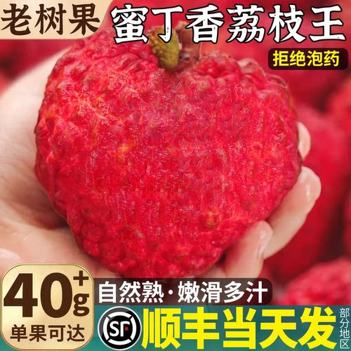 顺丰包邮蜜丁香荔枝王整箱现摘