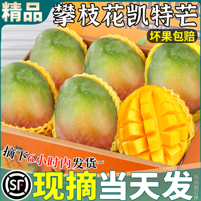 Бутик Panzhihua Kate Mango, свежие 9 фунтов крупных сезонных плодов манго, уже собраны и отправлены, полная коробка, бесплатная доставка беременным женщинам.