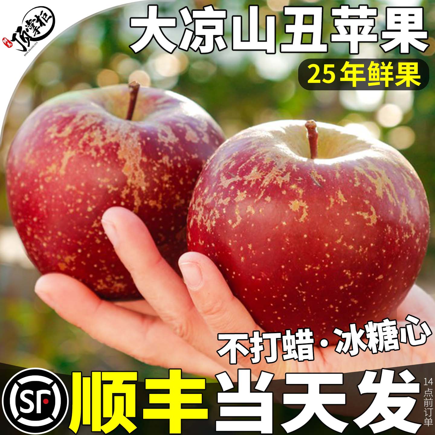 顺丰当天发大凉山丑苹果5斤包邮