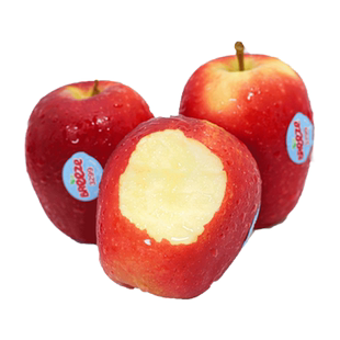 顺丰礼盒 高端新西兰进口苹果新鲜水果8筒当季小苹果嘎啦果甜整箱