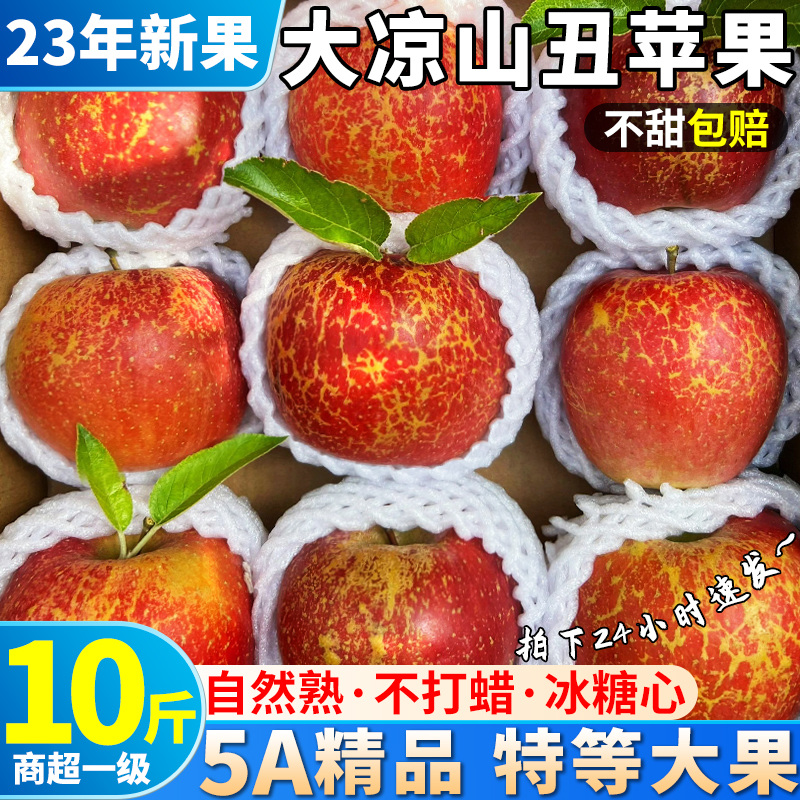 特大果礼盒10斤正宗四川大凉山丑苹果新鲜水果冰糖心当季现摘整箱