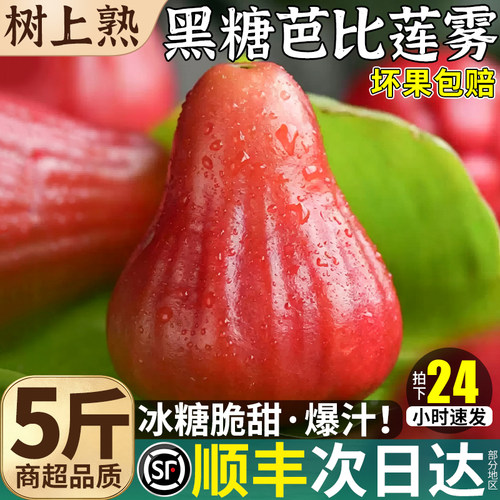 顺丰香甜5A果王莲雾！单果达180g