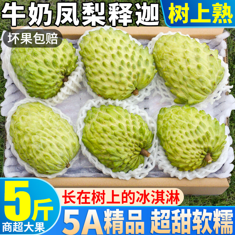 树上熟 5斤广东凤梨释迦果新鲜水果包邮当季林檎牛奶番荔枝整箱10怎么看?