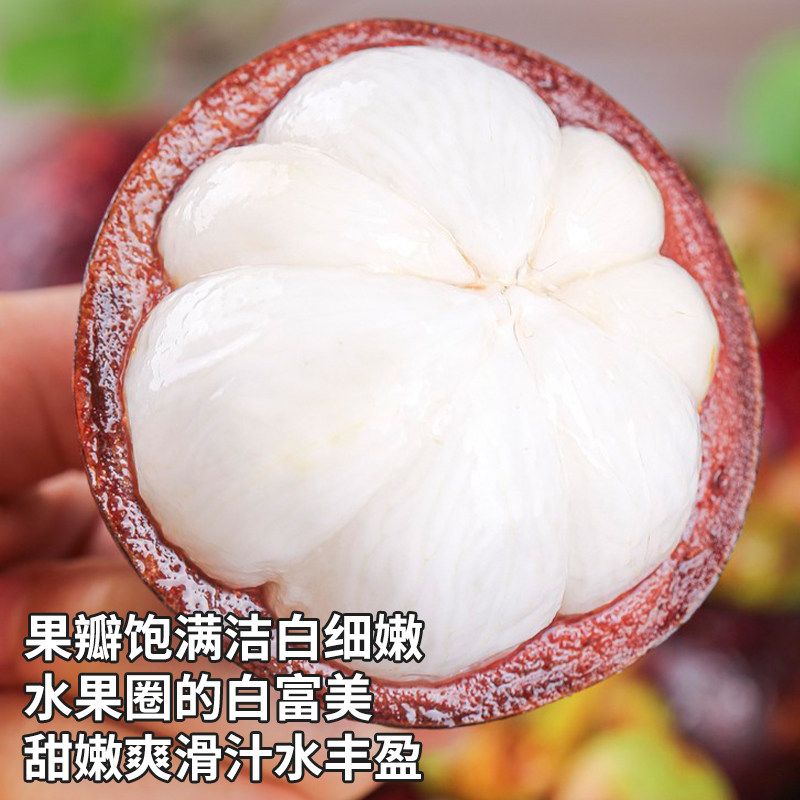 顺丰礼盒泰国6A山竹新鲜水果大果10斤进口一级鲜果当季整箱包邮甜,水产肉类/新鲜蔬果/熟食,山竹,淘宝优惠券,粉丝福利购,淘宝优惠卷