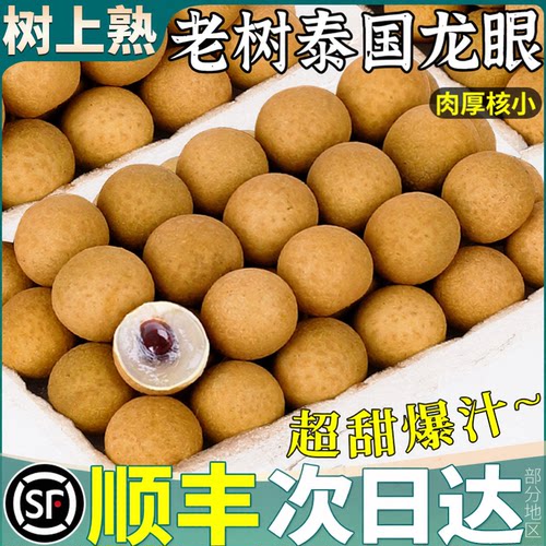 顺丰泰国龙眼9斤老树包甜包大