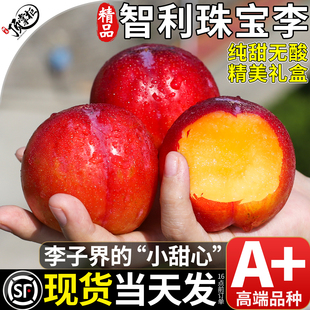 顺丰/JD礼盒智利珠宝李李子新鲜水果5斤进口鲜果西梅当季整箱包邮