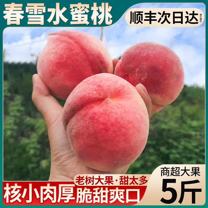 顺丰特大果5斤春雪水蜜桃桃子新鲜水果脆甜毛桃应季孕妇雪油包邮9