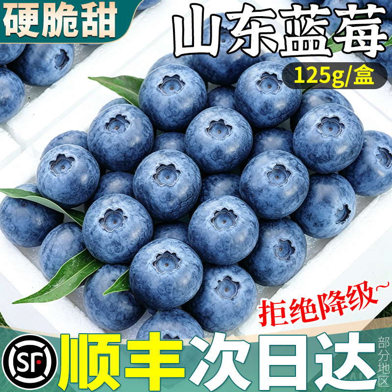 正宗山东花香蓝莓新鲜水果当季整箱包邮特大果非怡颗佳沃顺丰