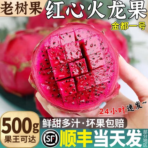 顺丰当天发丨红心火龙果甜！大！
