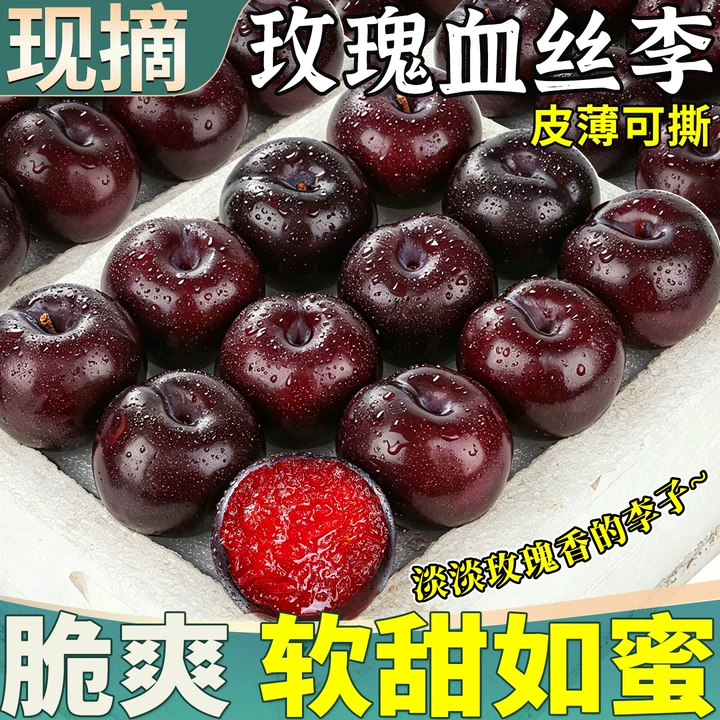 现摘脆甜玫瑰血丝李老树红心李子