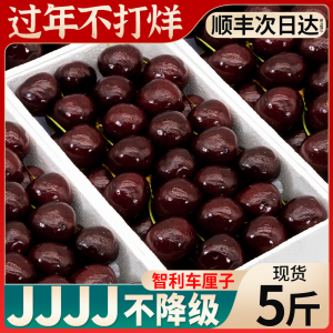 顺丰现货 5斤4J智利车厘子新鲜水果包邮大果桑缇娜礼盒整箱大樱桃