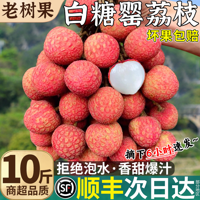 顺丰10斤大果白糖罂荔枝新鲜现摘现发水果当季整箱包邮桂花味时令