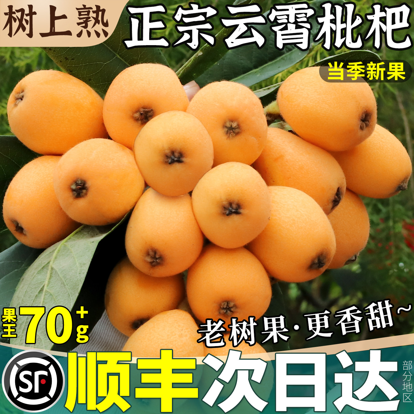 顺丰 云霄枇杷5斤特大果新鲜水果整箱琵琶果当季现摘鲜果包邮正宗