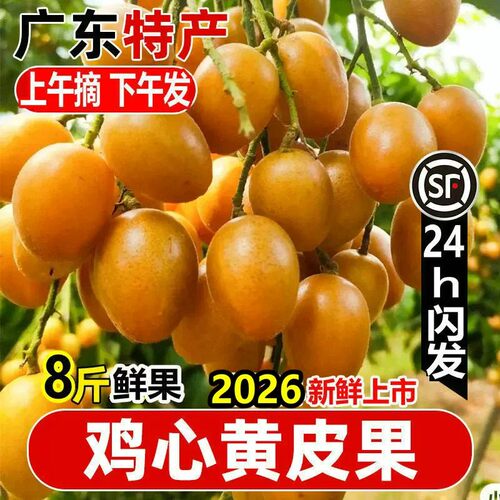 顺丰冷链直达8斤黄皮新鲜特大果