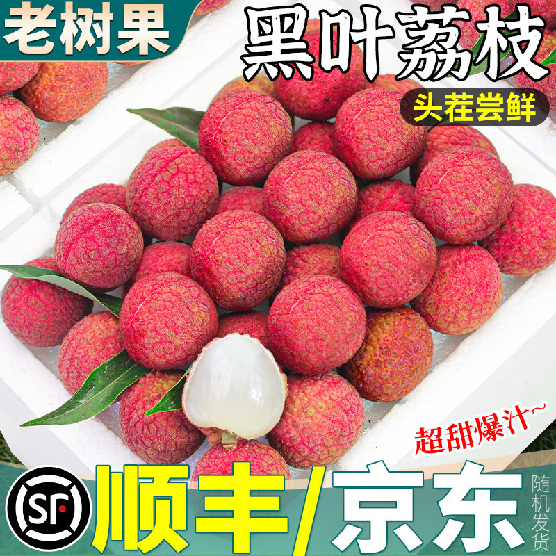 顺丰礼盒福建黑叶荔枝新鲜现摘现发老树果水果当季整箱包邮甜应季