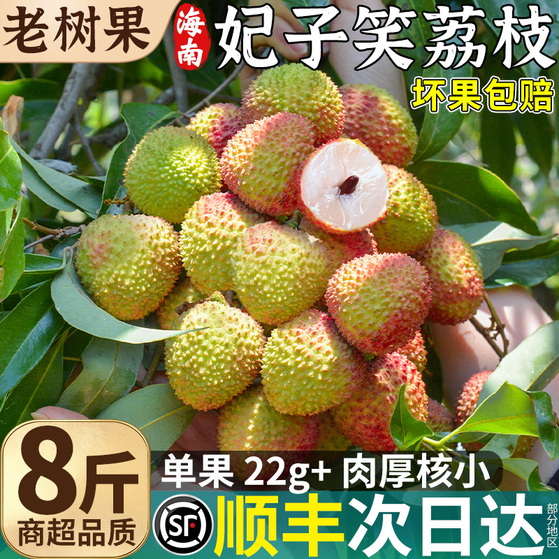 顺丰8斤海南妃子笑荔枝新鲜现摘现发水果当季整箱包邮白糖桂花味