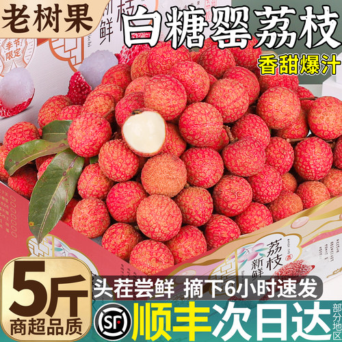 顺丰次日达丨白糖罂荔枝礼盒