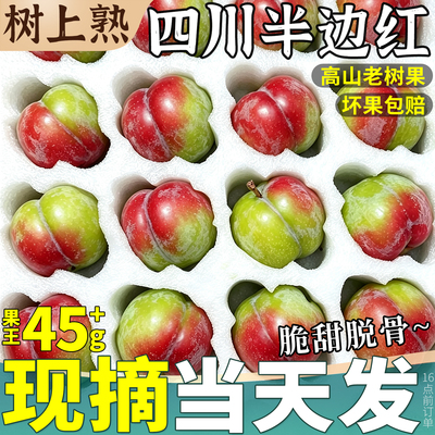 现货闪发丨脆甜脱核丨四川半边红