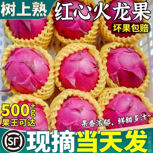 顺丰当天发丨红心火龙果甜！大！