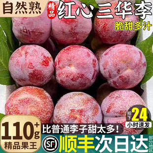 顺丰包邮红心三华李5斤新鲜水果当季整箱蜂糖脆李子钱排应季正宗
