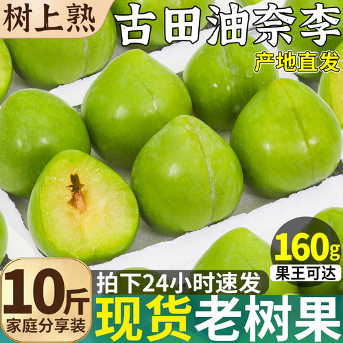 下单立发！古田油奈肉厚细腻汁甜