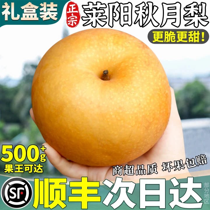 顺丰次日达丨正宗秋月梨