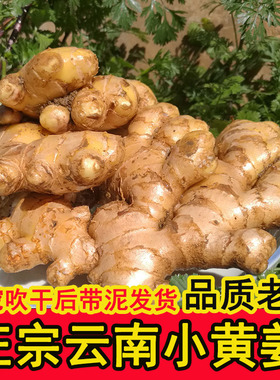 正宗云南曲靖罗平小黄姜老姜生姜月子姜鲜姜农家老姜干姜本地生姜