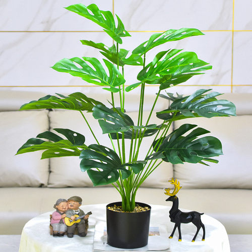 往红仿真植物75CM18叶大龟背竹