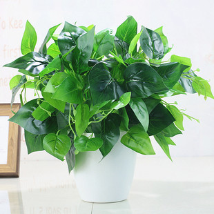 仿真绿萝盆栽室内仿真植物塑料小盆栽装 饰绿植仿真花草假植物绿萝