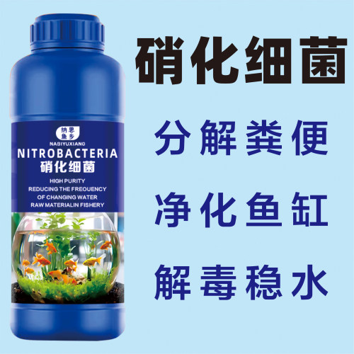 硝化菌和反硝化菌水产养殖和污水处理降氨氮降亚硝酸盐降总氮