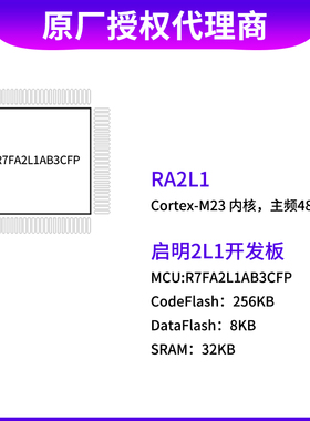 野火RENESAS瑞萨32位MCU RA2L1 RA4M2 RA6M5 RA6T2 R7FA2L1AB3CFP