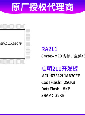 瑞萨RA系列MCU32位微控制器