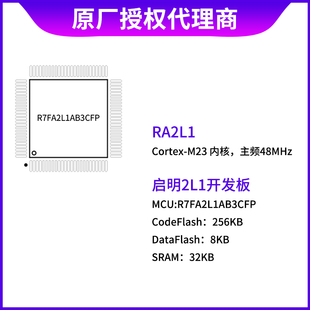 野火RENESAS瑞萨32位MCU RA2L1 RA4M2 RA6M5 RA6T2 R7FA2L1AB3CFP