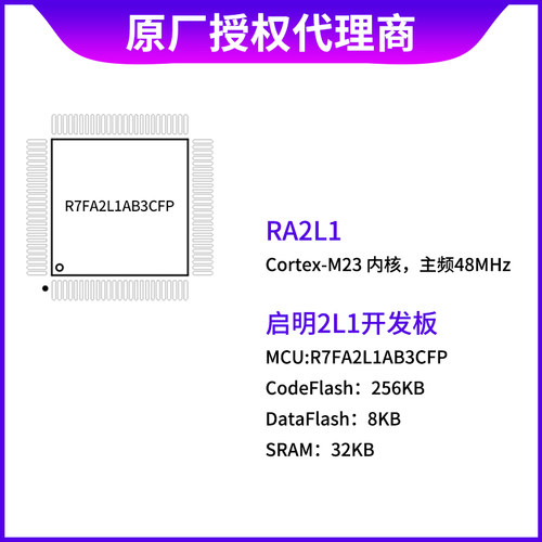 瑞萨RA系列MCU32位微控制器