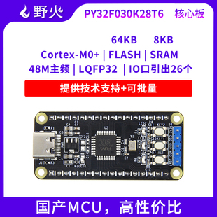 野火普冉PY32F030K28T6核心板ARM单片机 48M主频 配套例程源码