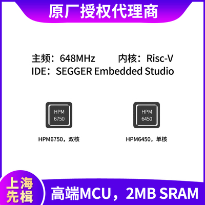 微控制器RSIC-V648M主频BGA封装