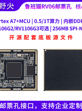 野火瑞芯微RV1106核心板Linux开发板 视觉处理人脸识别智能门锁板