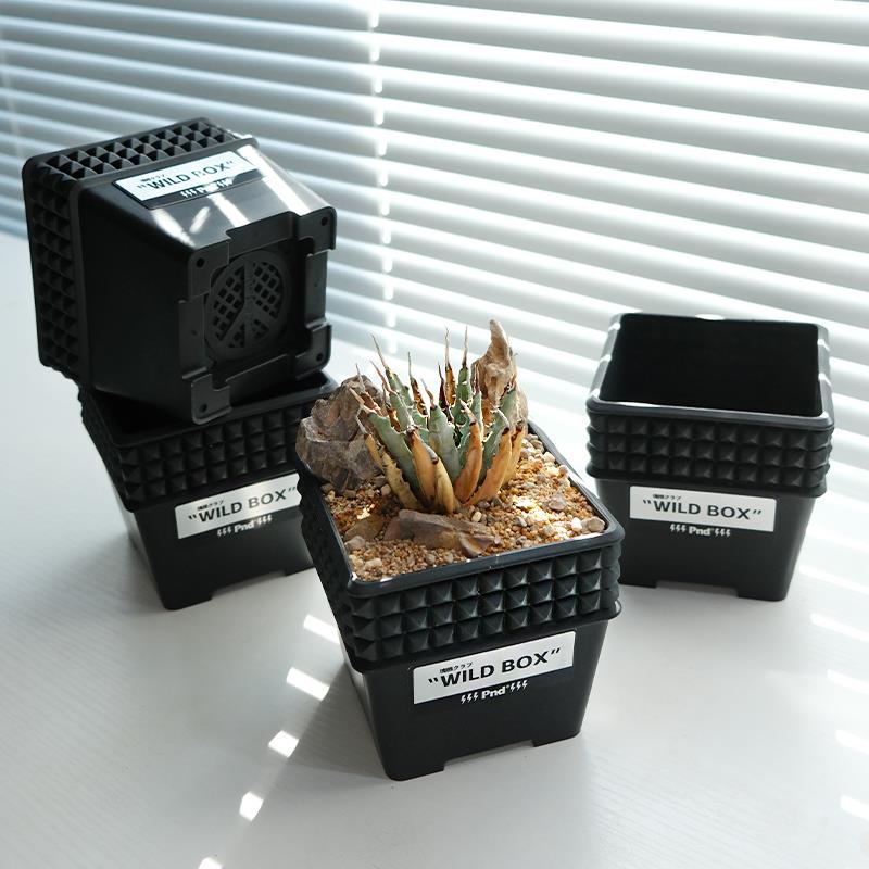 pnd原创铆钉加厚塑料花盆块根植物造景方型龙舌兰多肉仙人掌透气