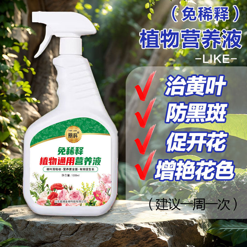免稀释植物营养液通用型盆栽肥料室内绿植发财树叶面喷施肥治黄叶