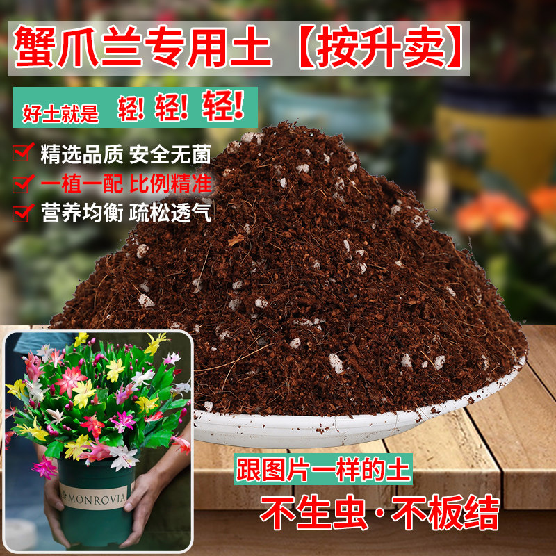蟹爪兰专用土营养土养花专用通用肥料泥土盆栽土蟹爪莲蟹脚兰土壤,鲜花速递/花卉仿真/绿植园艺,介质/营养土,淘宝优惠券,粉丝福利购,淘宝优惠卷